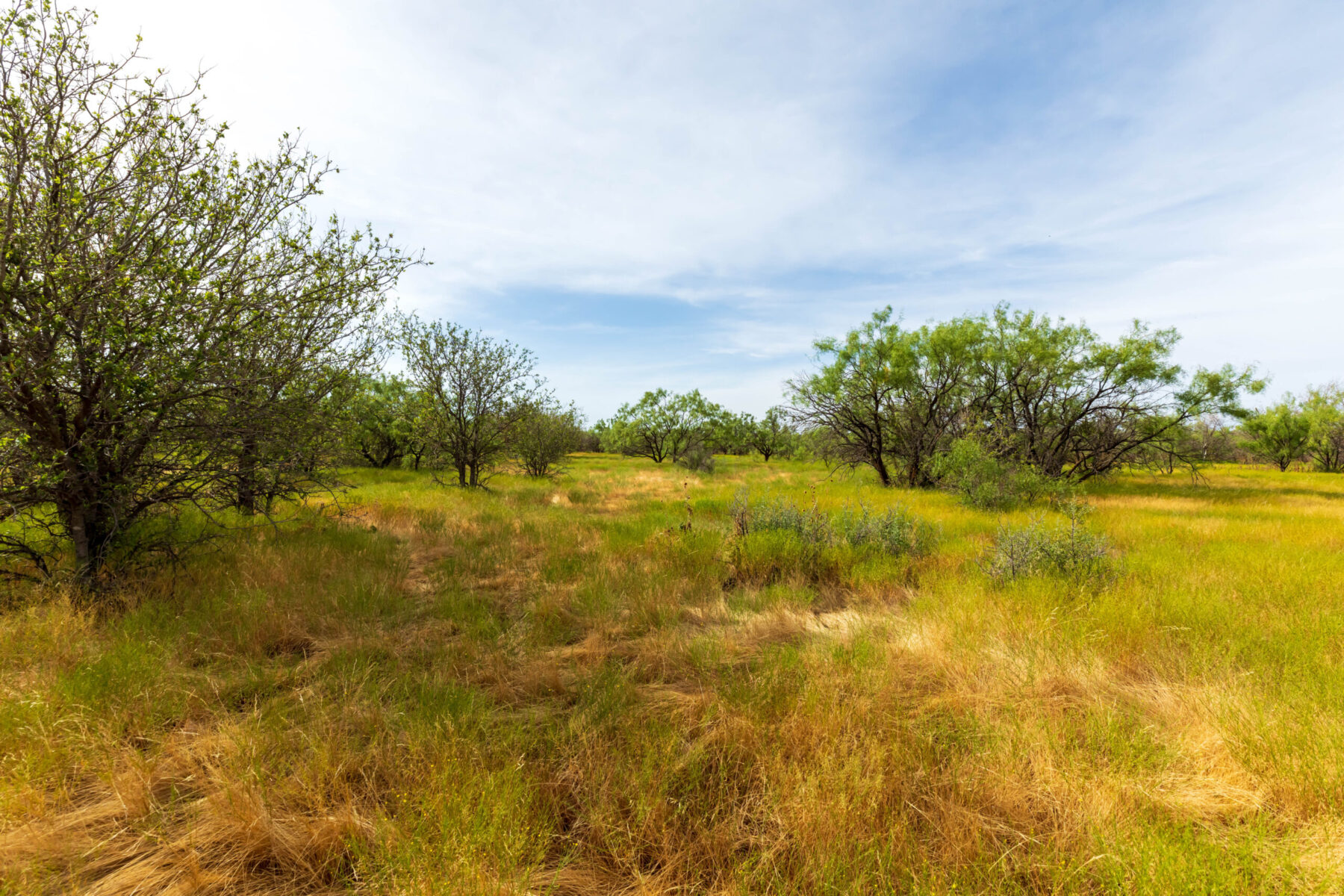 Property Photo 17 Property photograph 17