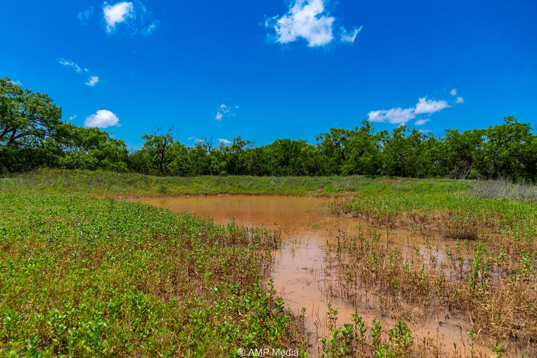 Property Photo 17 Property photograph 17
