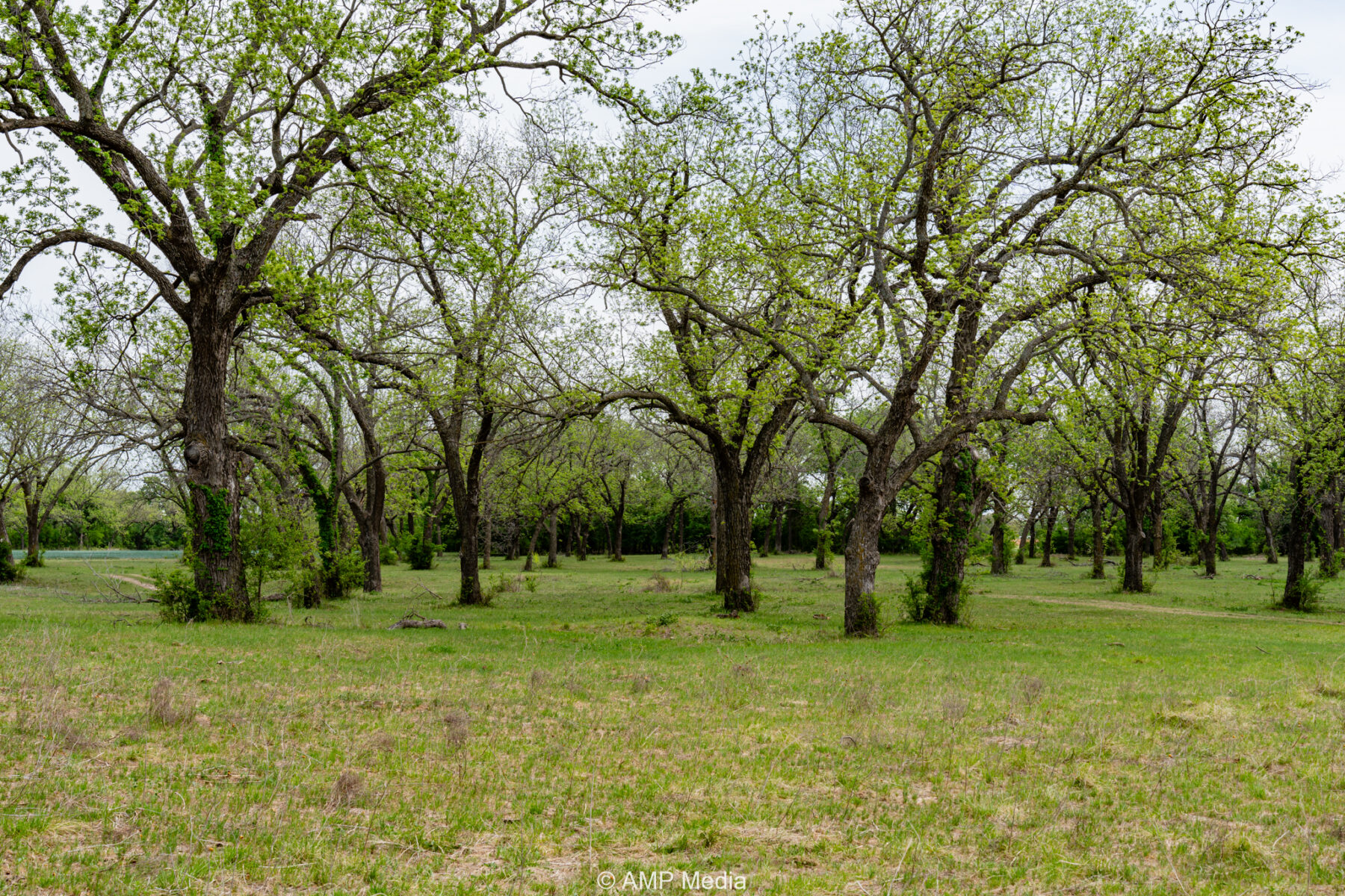 Property Photo 17 Property photograph 17