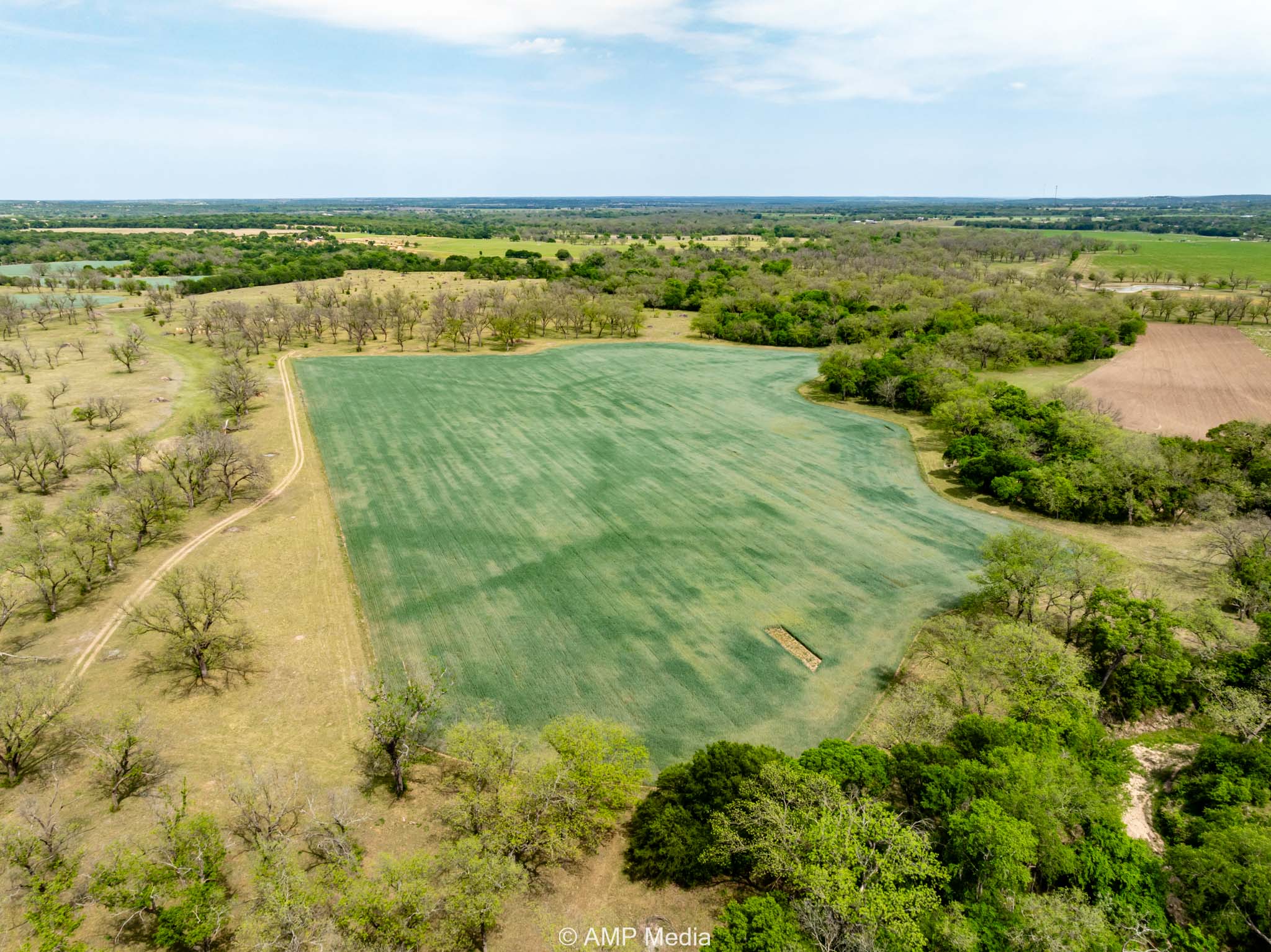 Property Photo 17 Property photograph 17