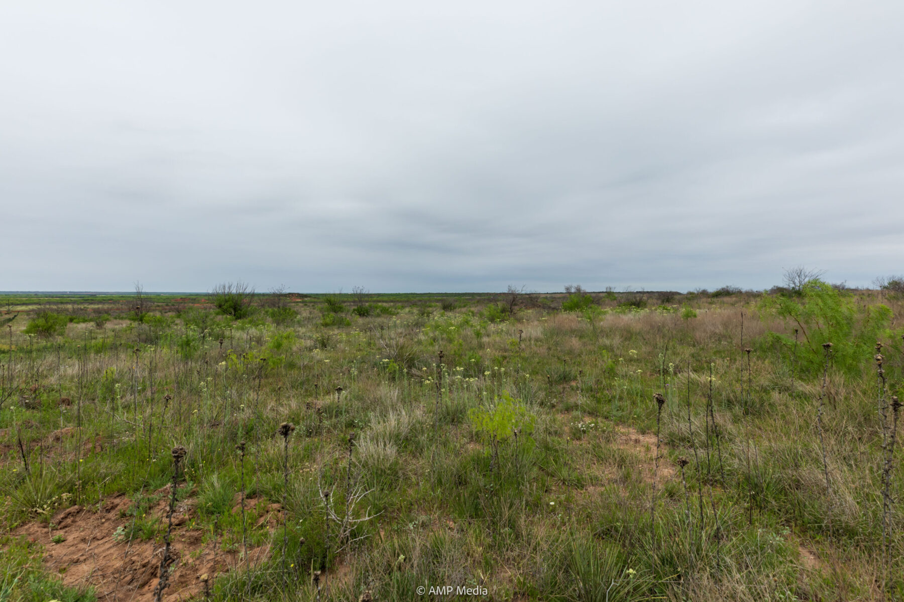 Property Photo 17 Property photograph 17