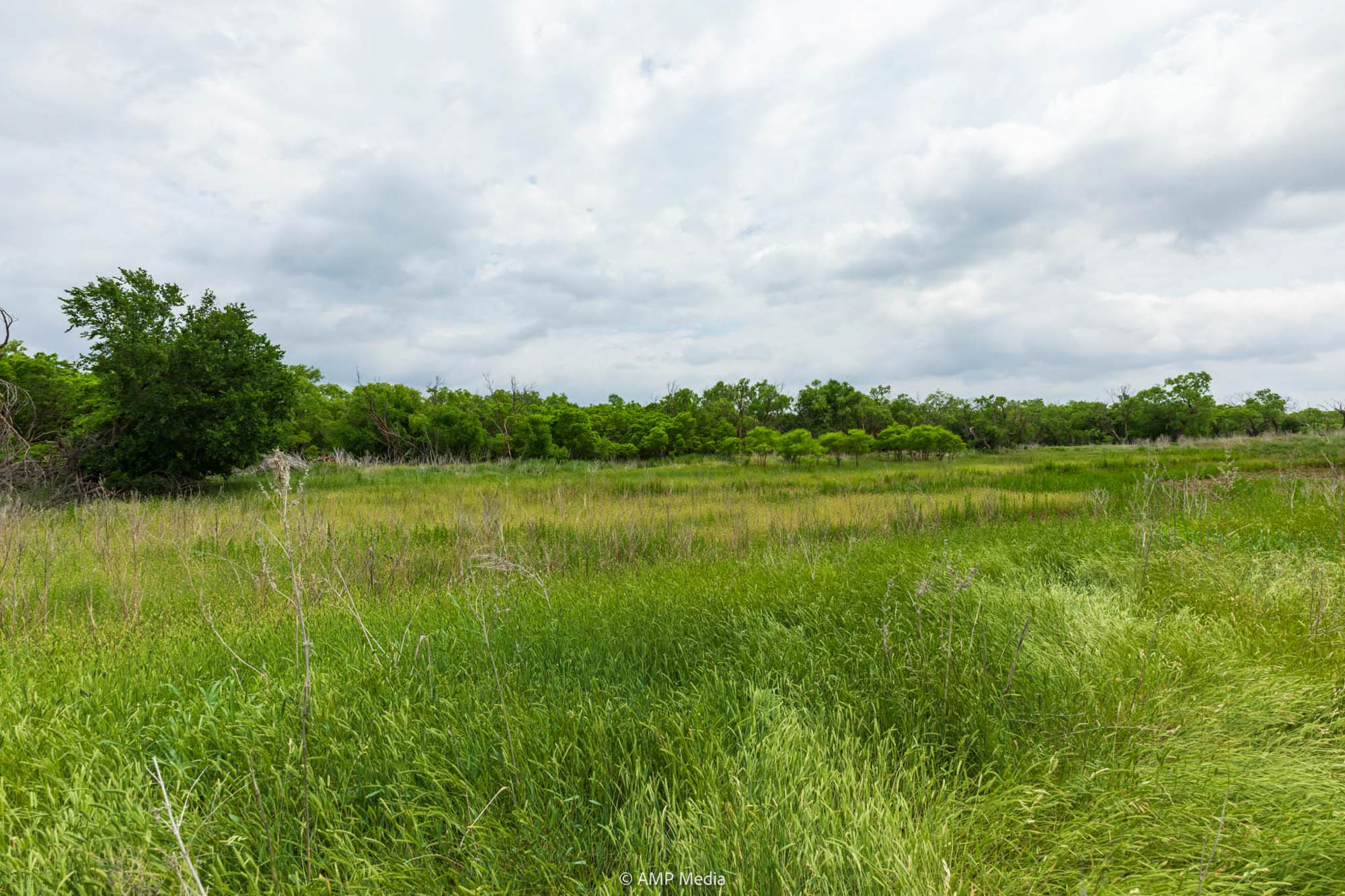 Property Photo 17 Property photograph 17