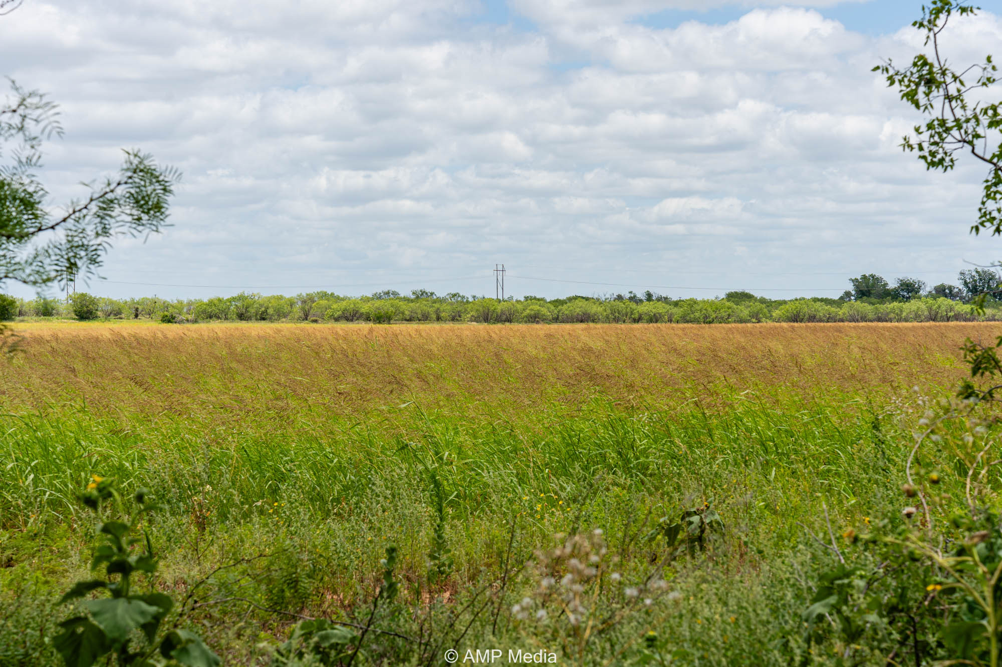 Property Photo 17 Property photograph 17
