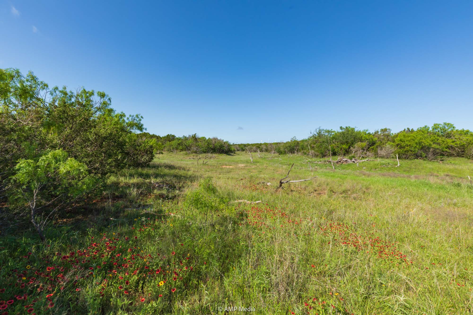 Property Photo 17 Property photograph 17