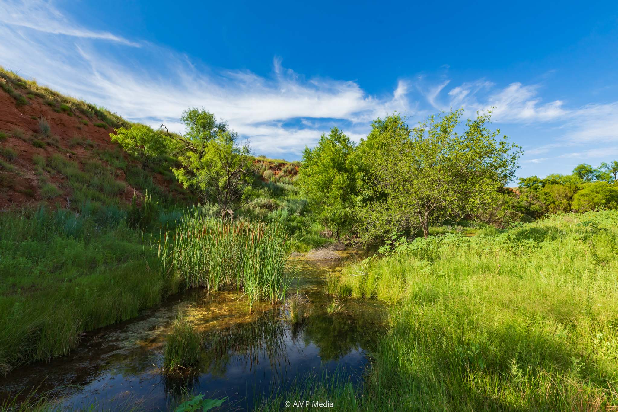 Property Photo 17 Property photograph 17