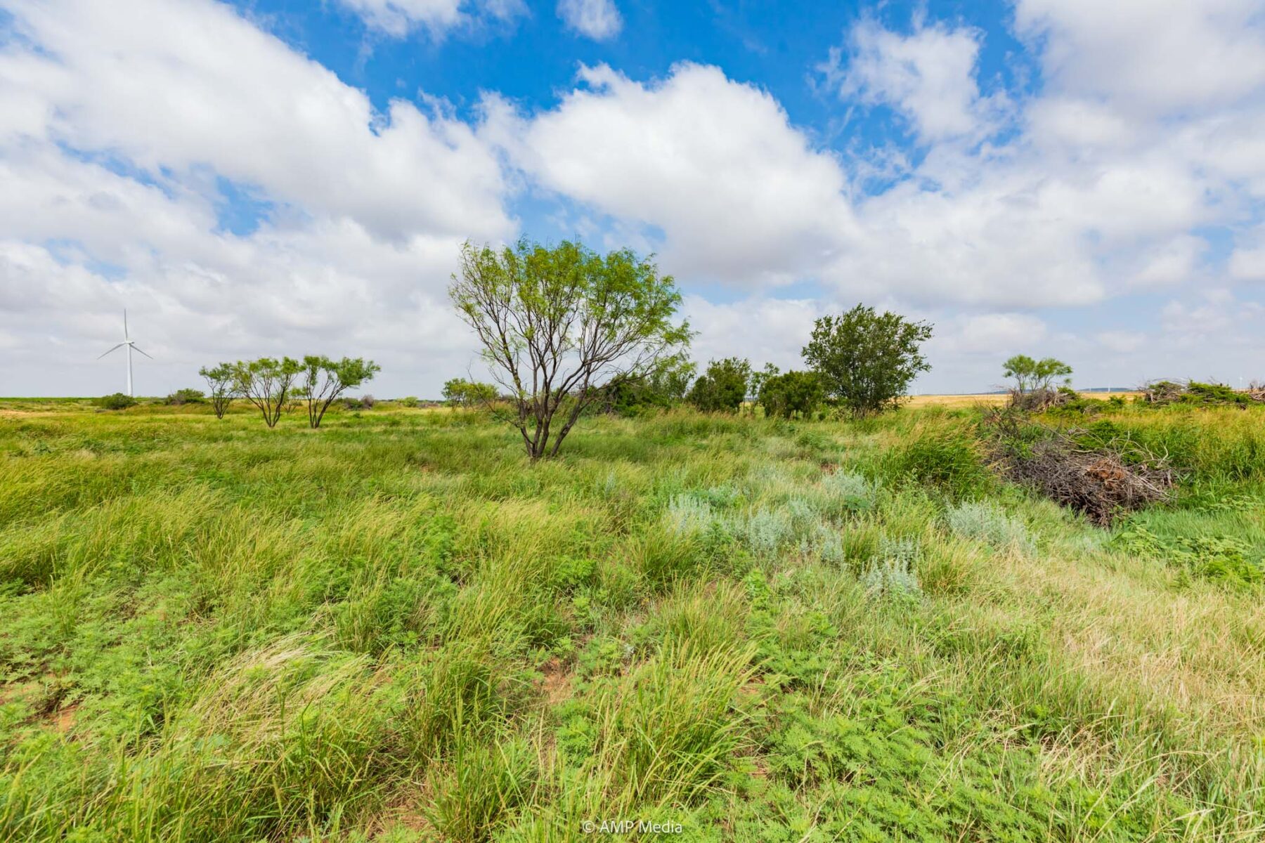 Property Photo 17 Property photograph 17