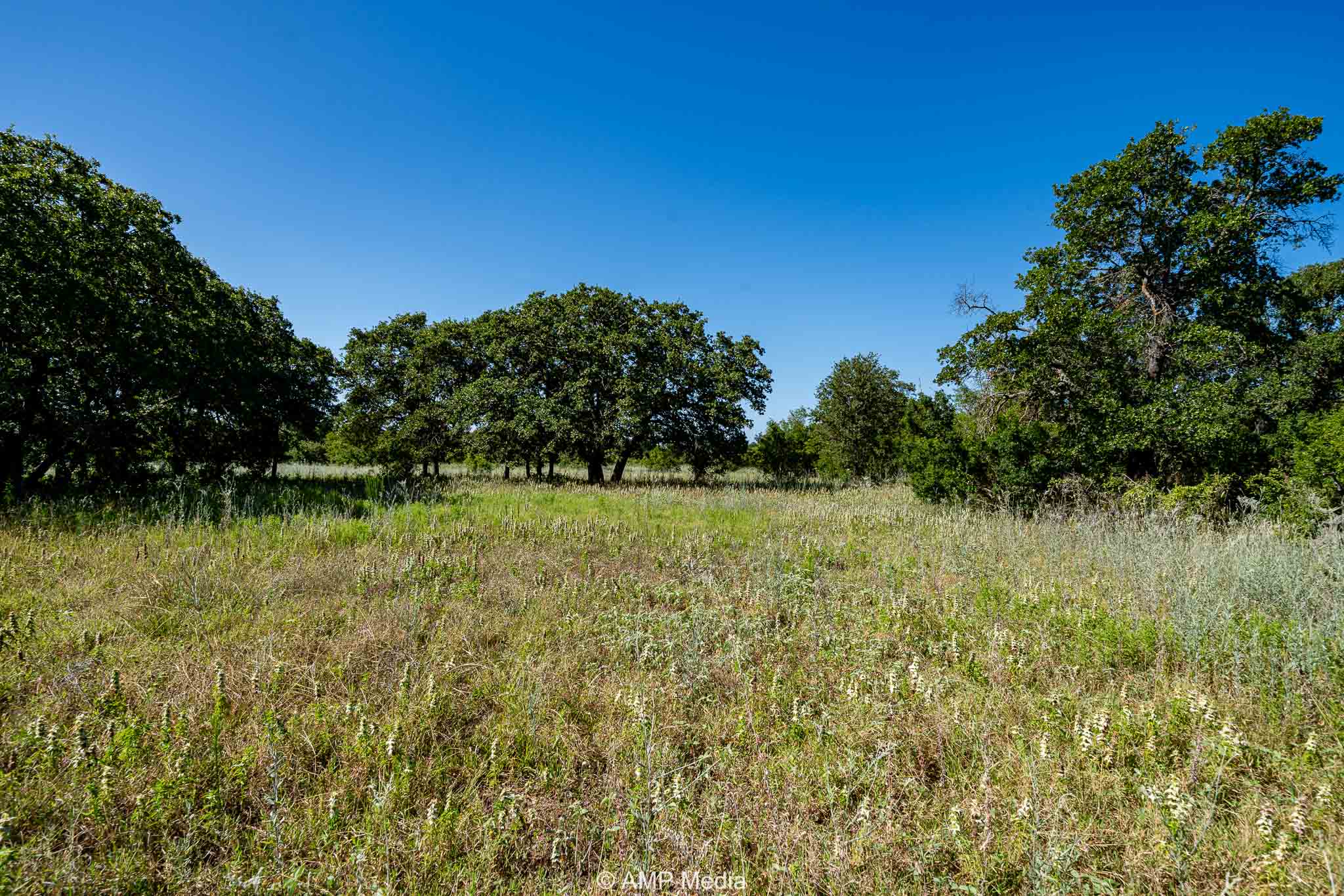 Property Photo 17 Property photograph 17