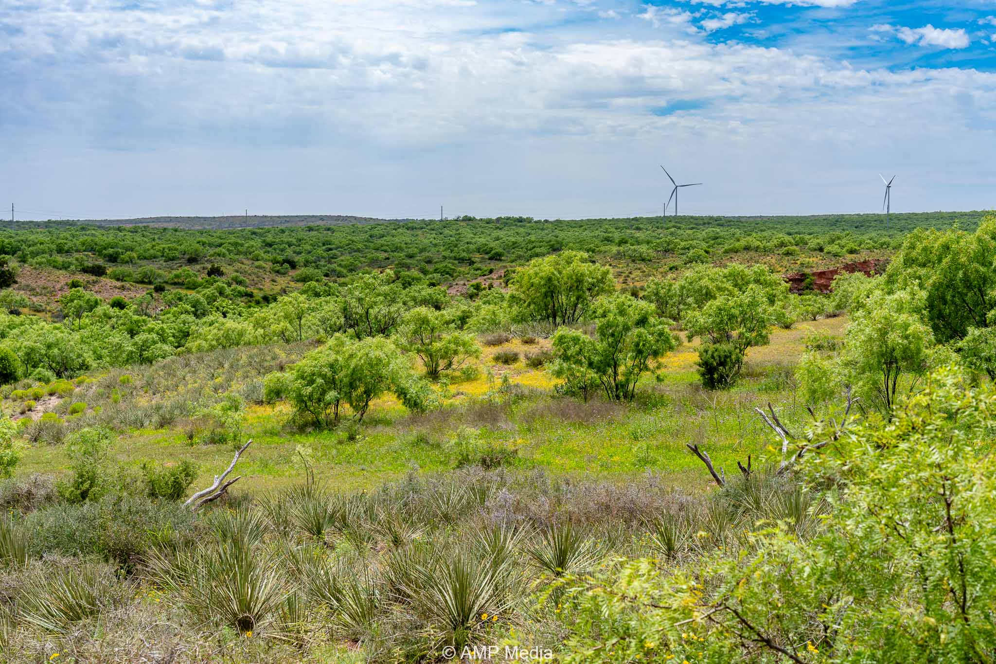 Property Photo 17 Property photograph 17