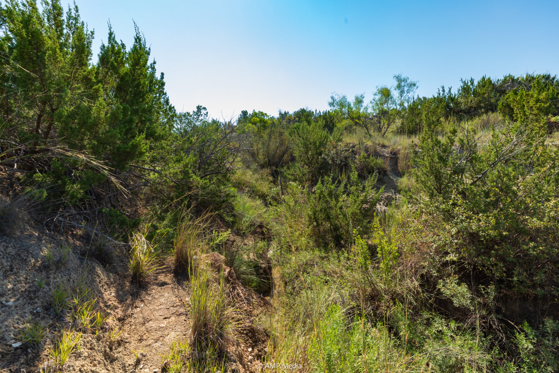 Property Photo 17 Property photograph 17