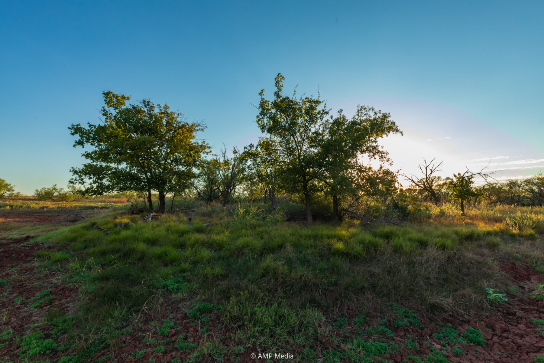 Property Photo 17 Property photograph 17