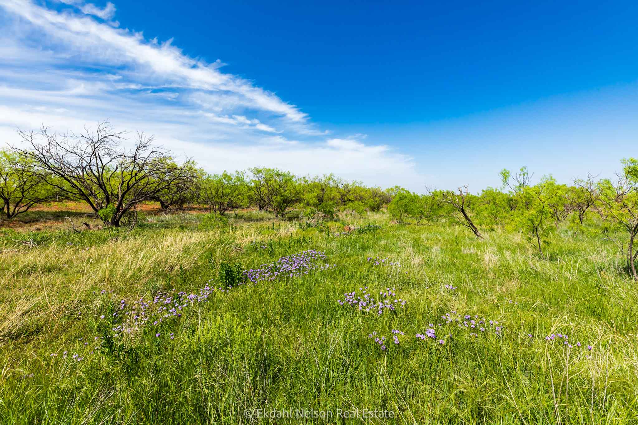 Property Photo 18 Property photograph 18