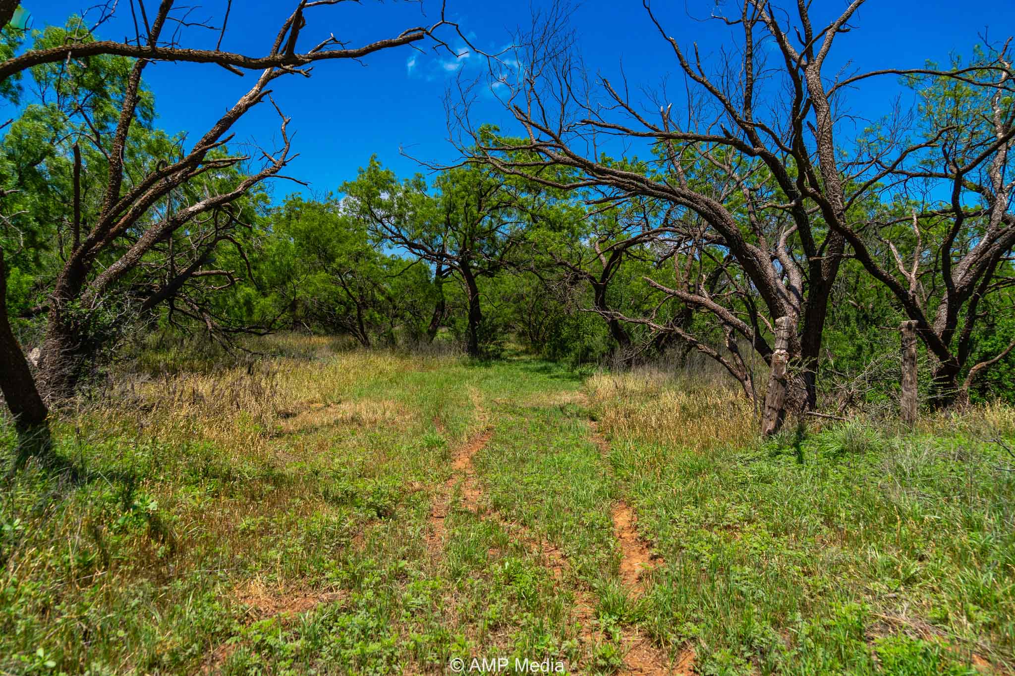 Property Photo 18 Property photograph 18