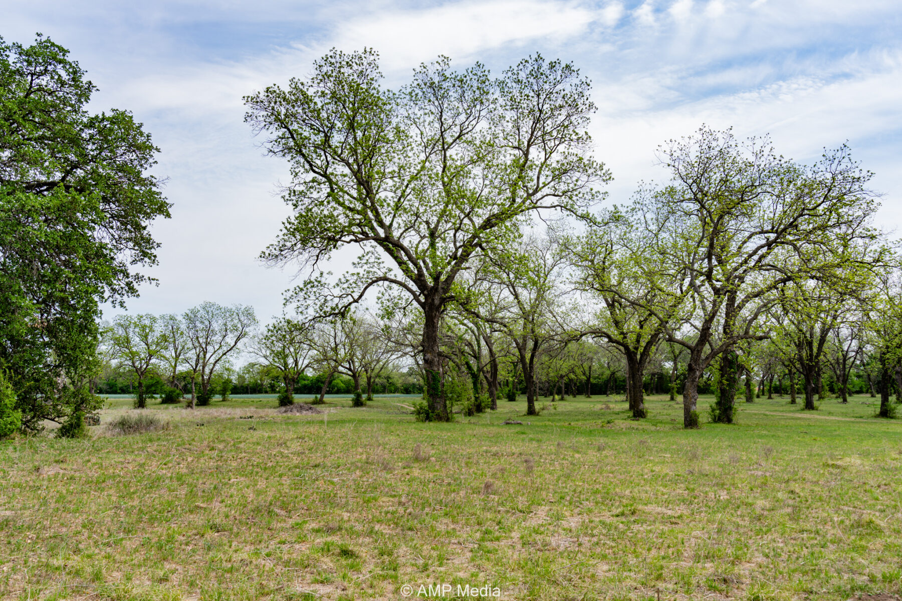 Property Photo 18 Property photograph 18