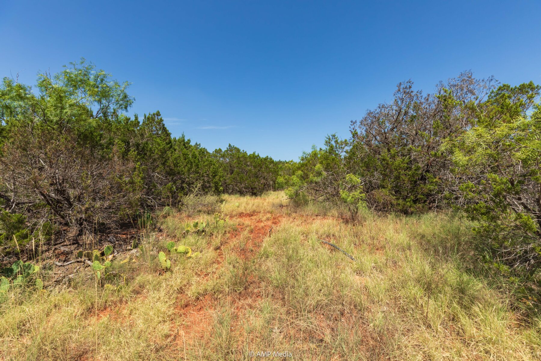 Property Photo 18 Property photograph 18