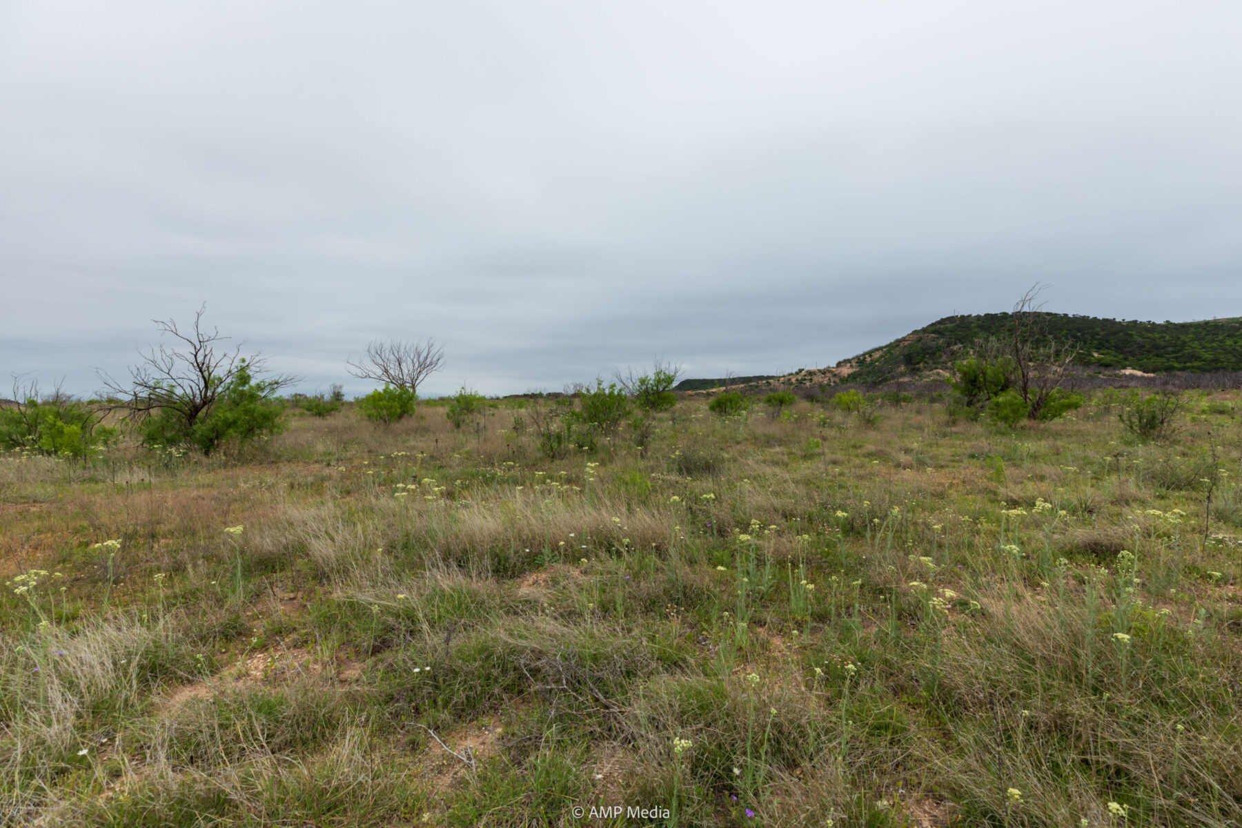 Property Photo 18 Property photograph 18