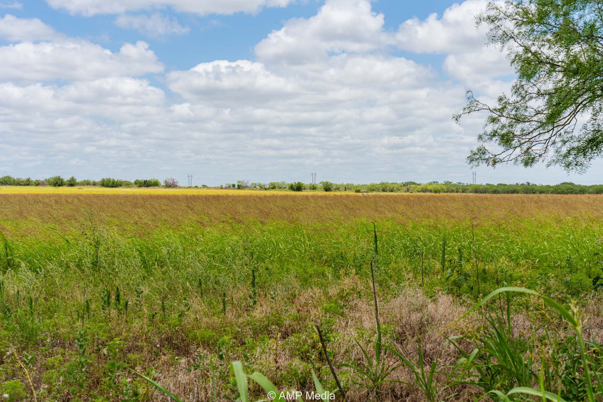 Property Photo 18 Property photograph 18