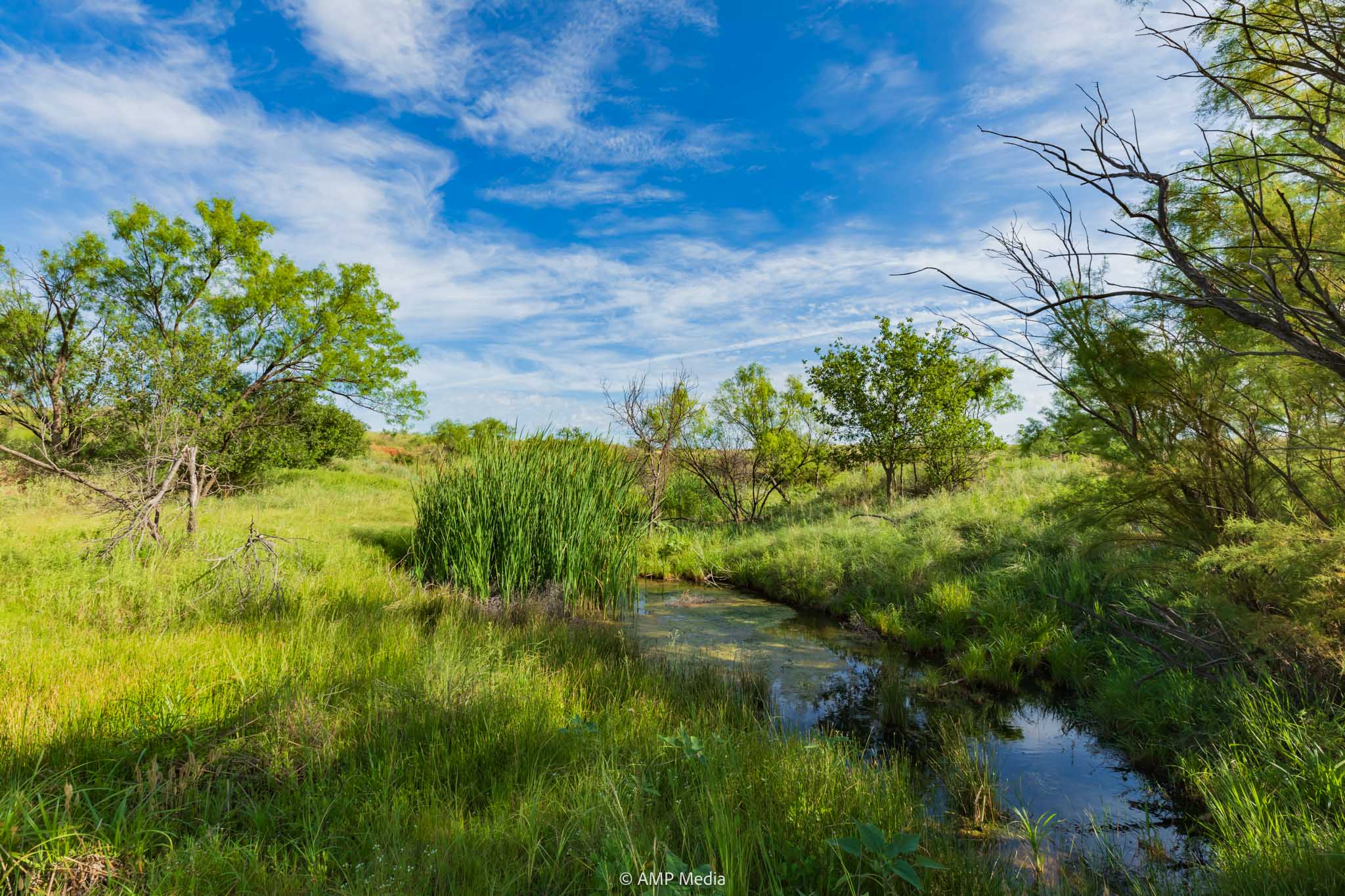 Property Photo 18 Property photograph 18