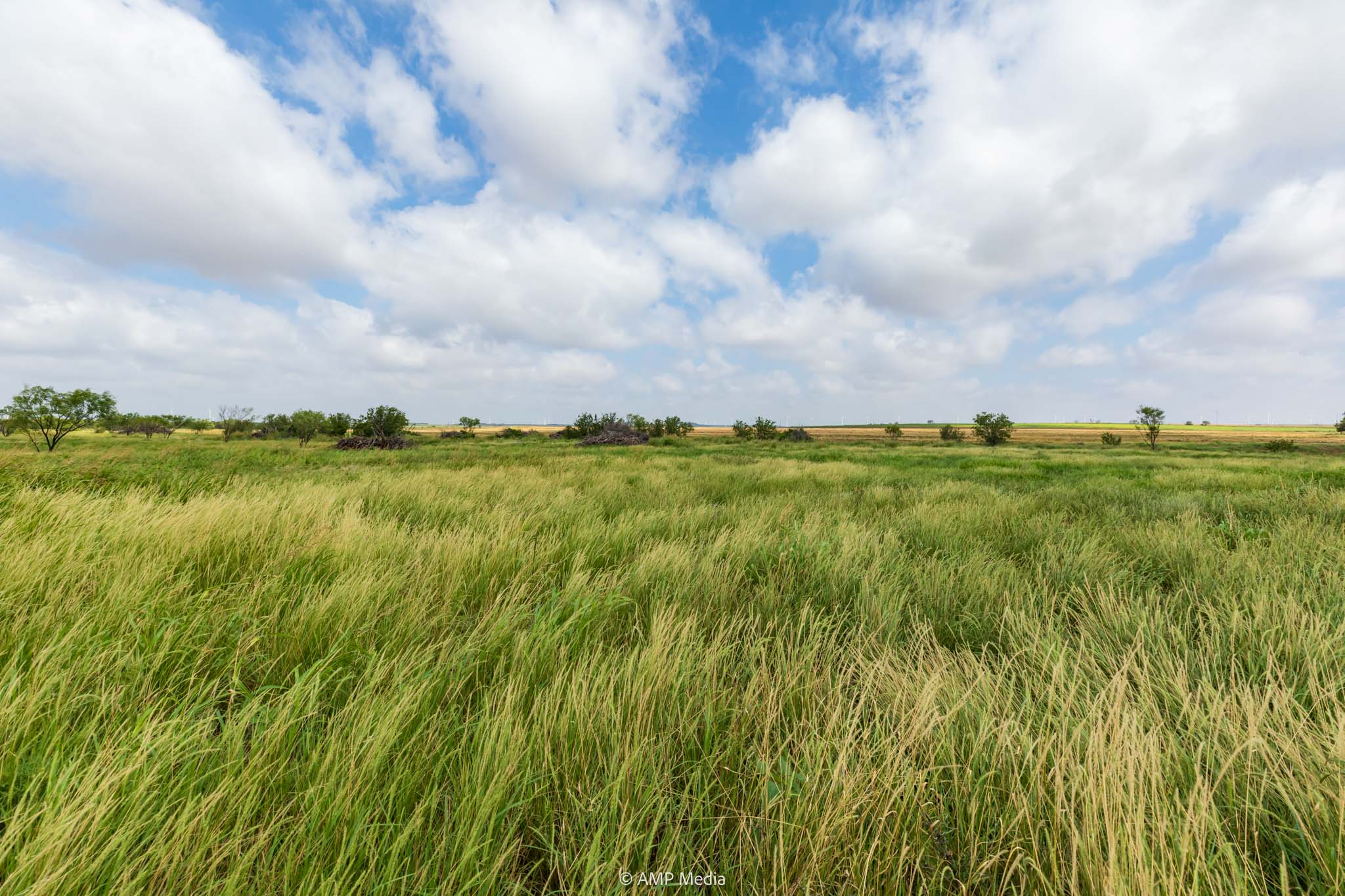 Property Photo 18 Property photograph 18