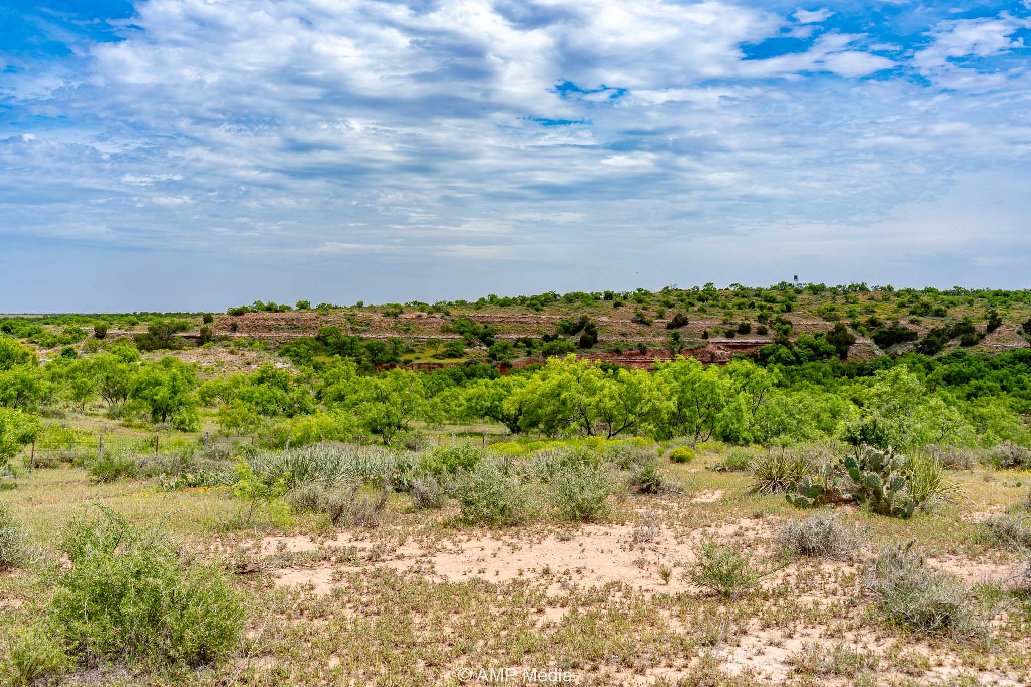 Property Photo 18 Property photograph 18