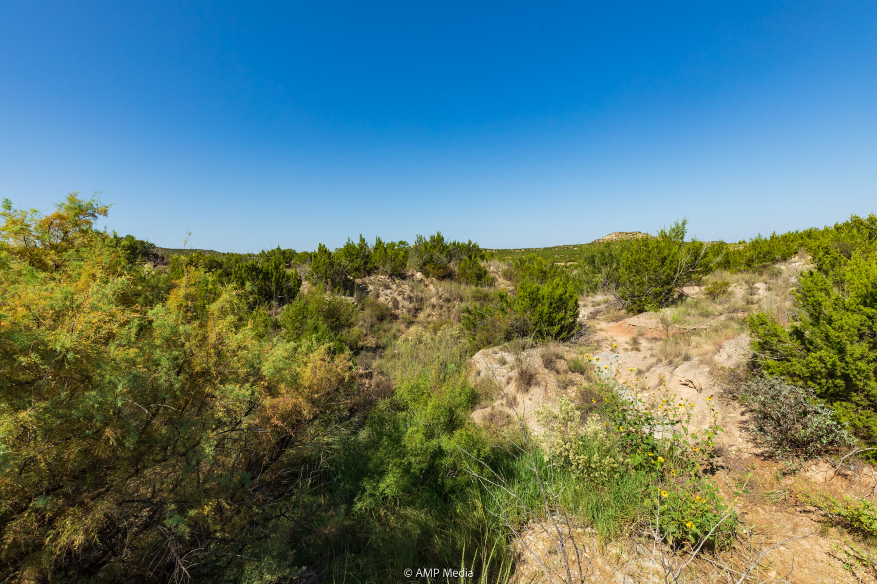 Property Photo 18 Property photograph 18