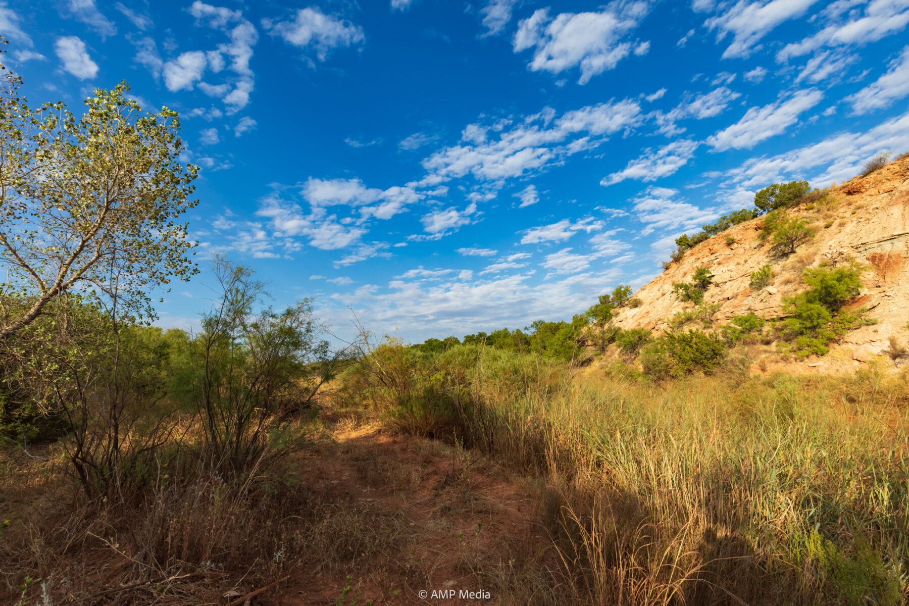 Property Photo 18 Property photograph 18