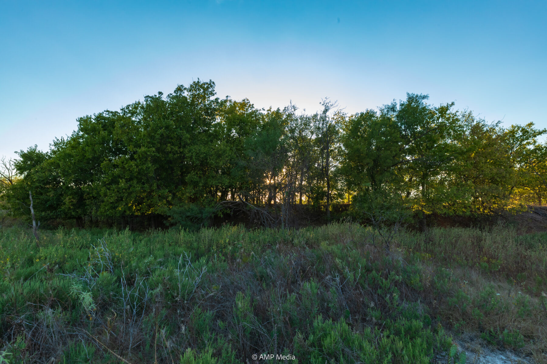 Property Photo 18 Property photograph 18