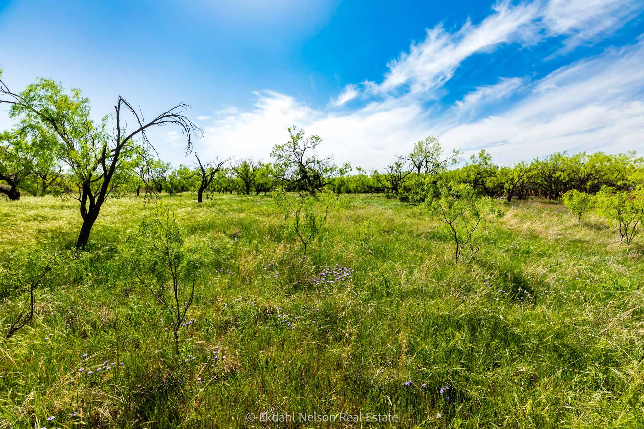 Property Photo 19 Property photograph 19