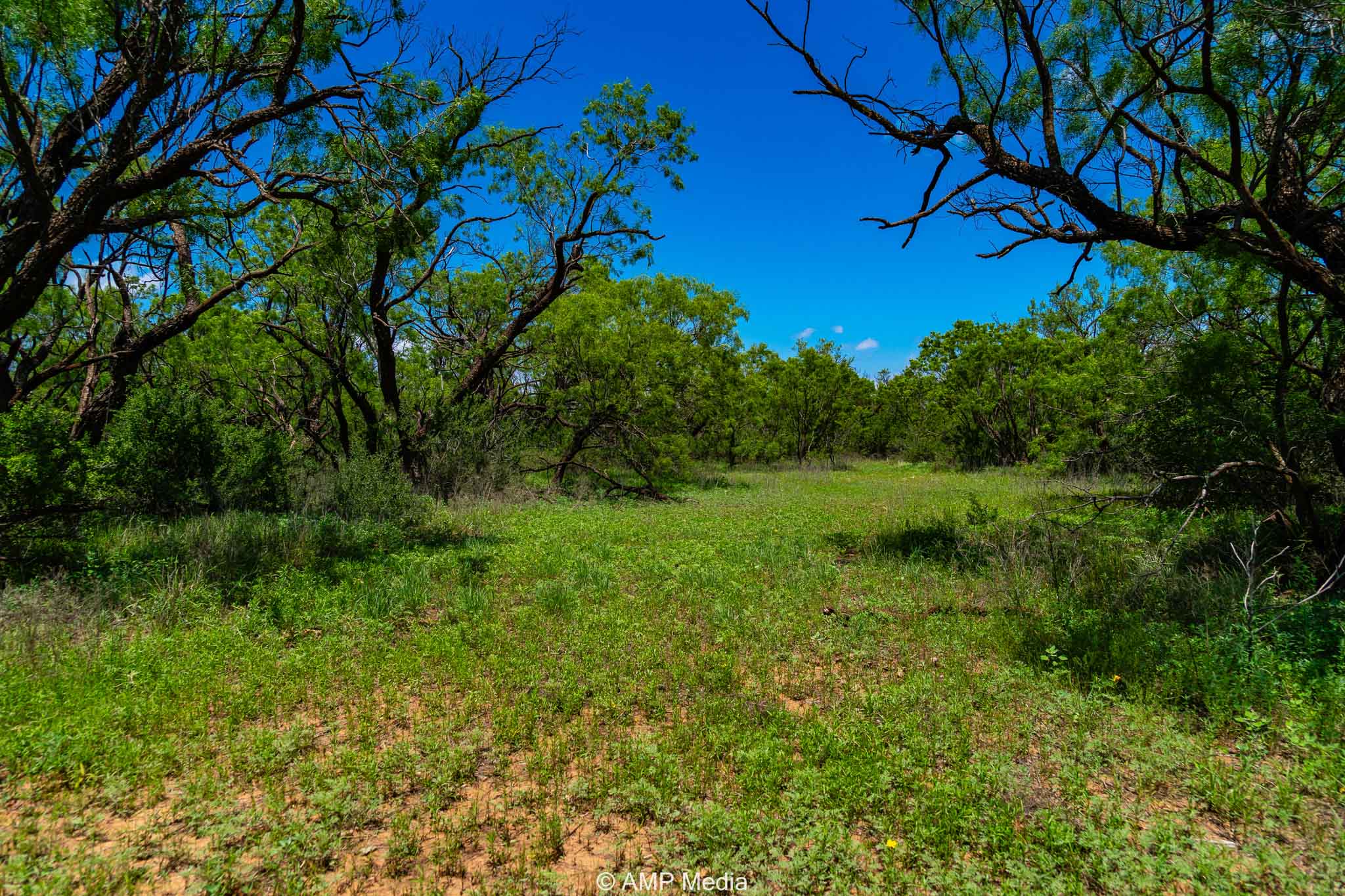 Property Photo 19 Property photograph 19