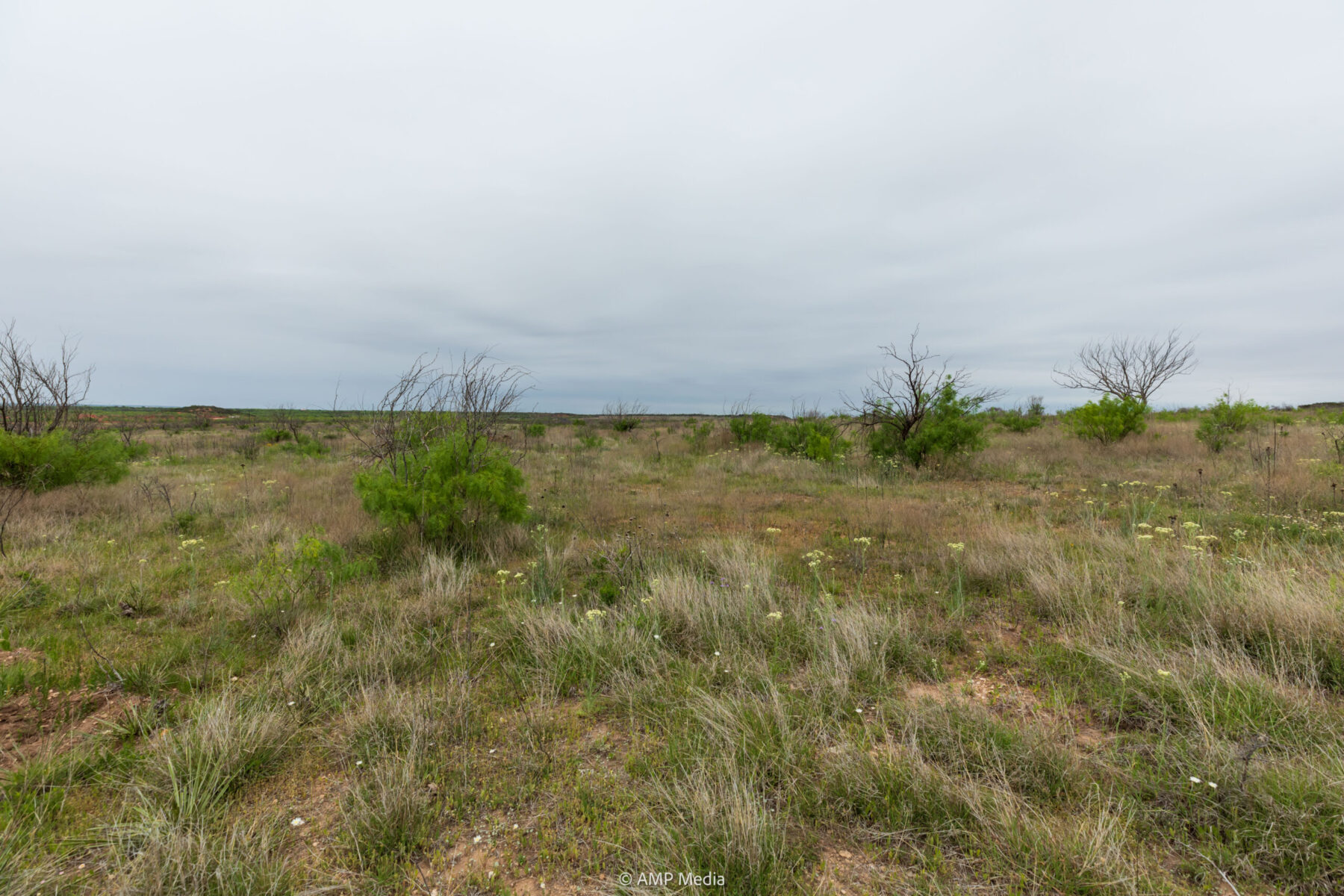 Property Photo 19 Property photograph 19