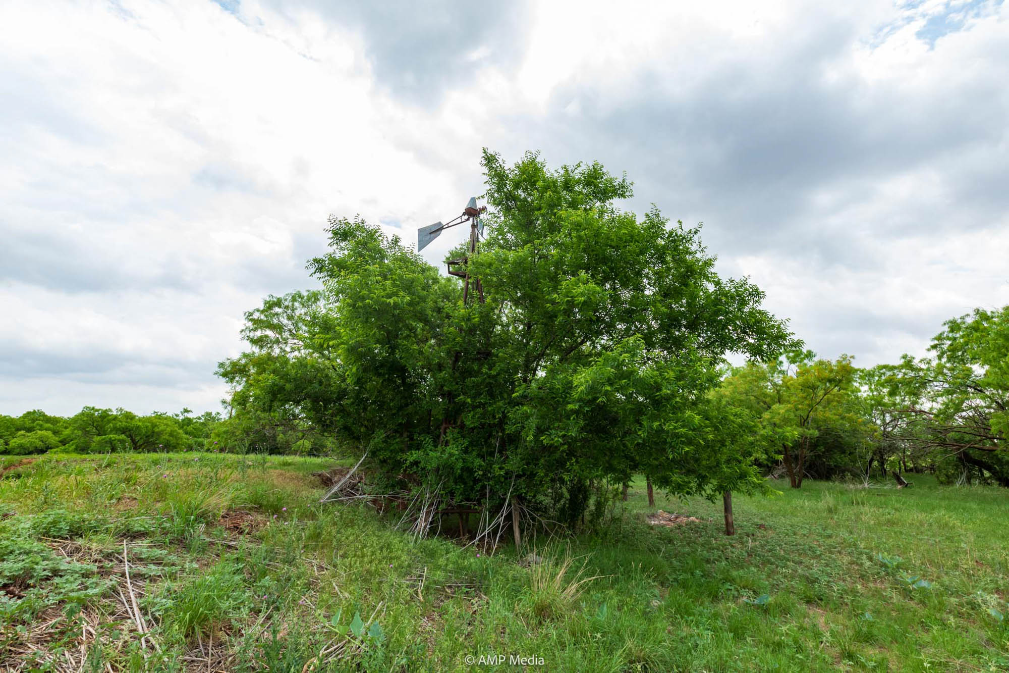 Property Photo 19 Property photograph 19