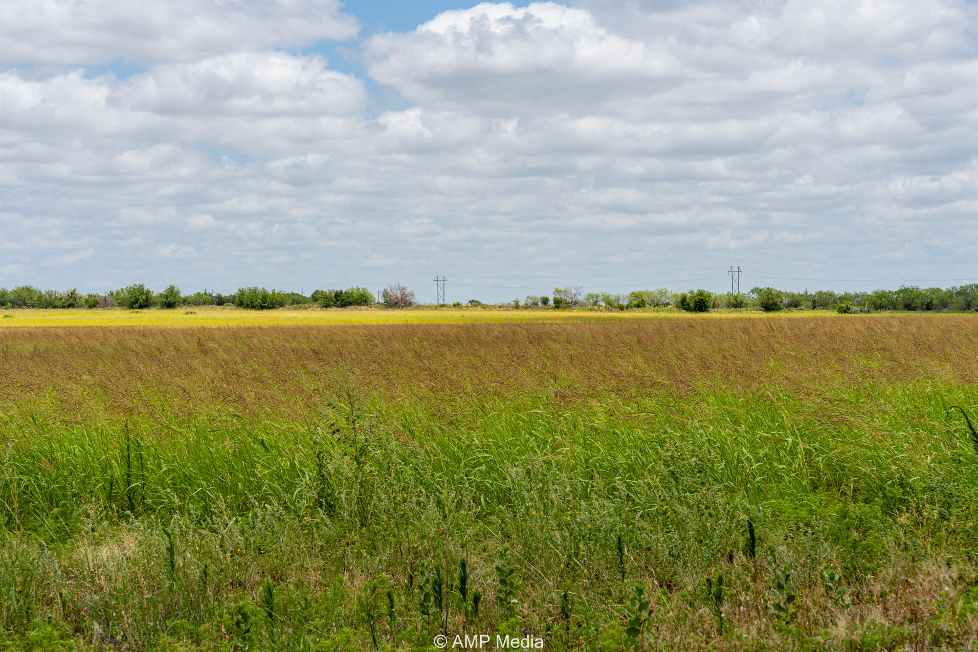 Property Photo 19 Property photograph 19
