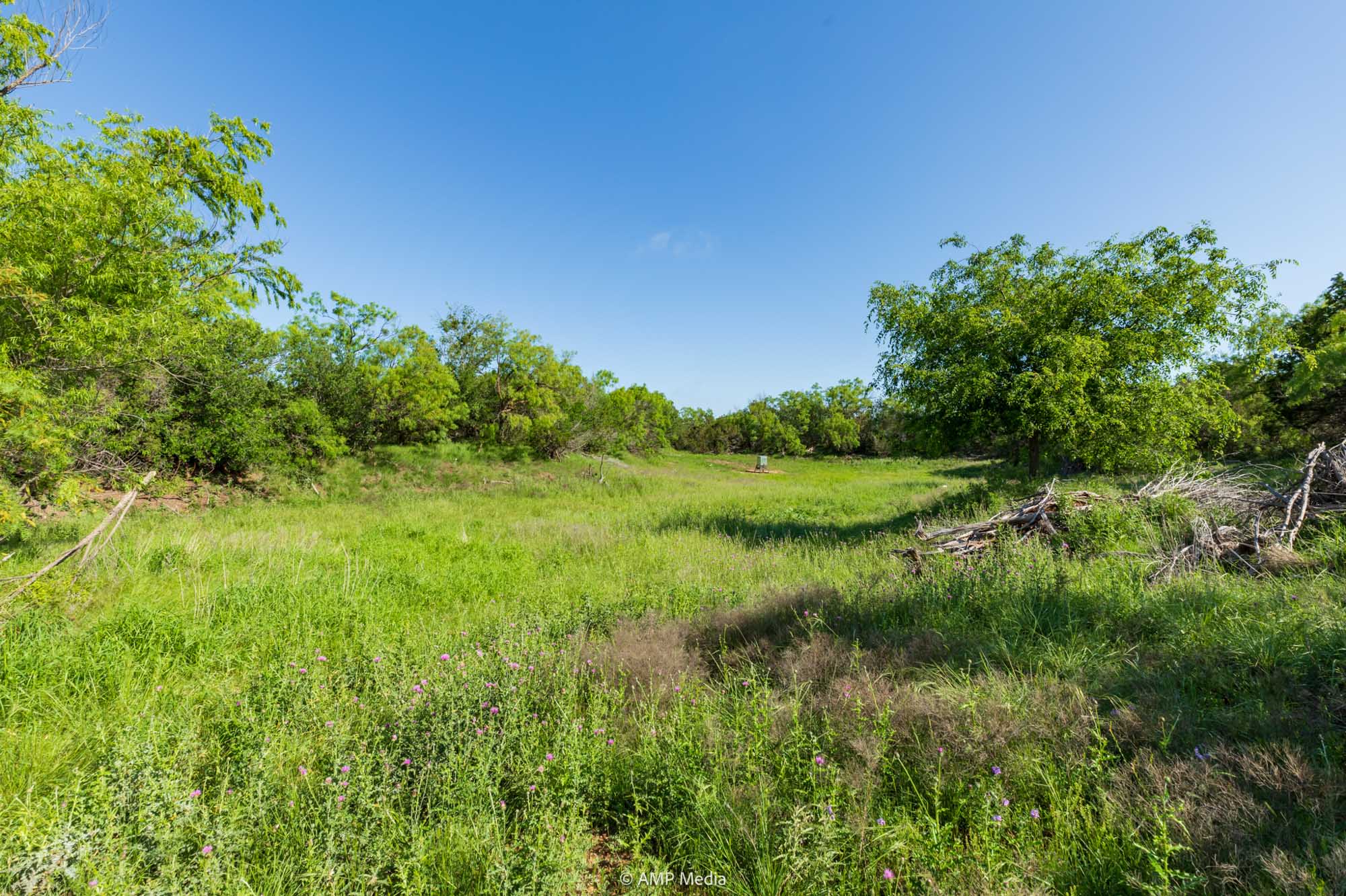 Property Photo 19 Property photograph 19