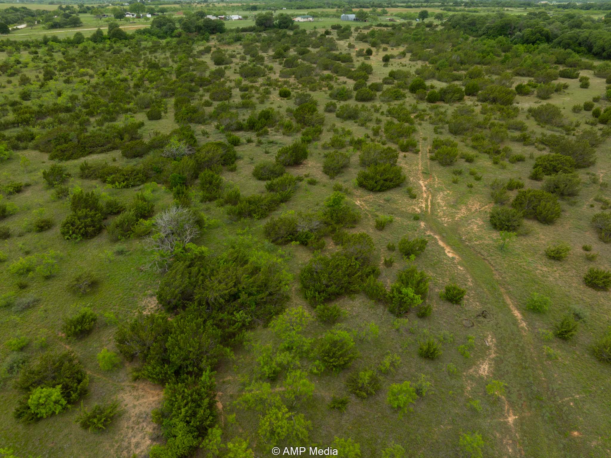 Property Photo 19 Property photograph 19