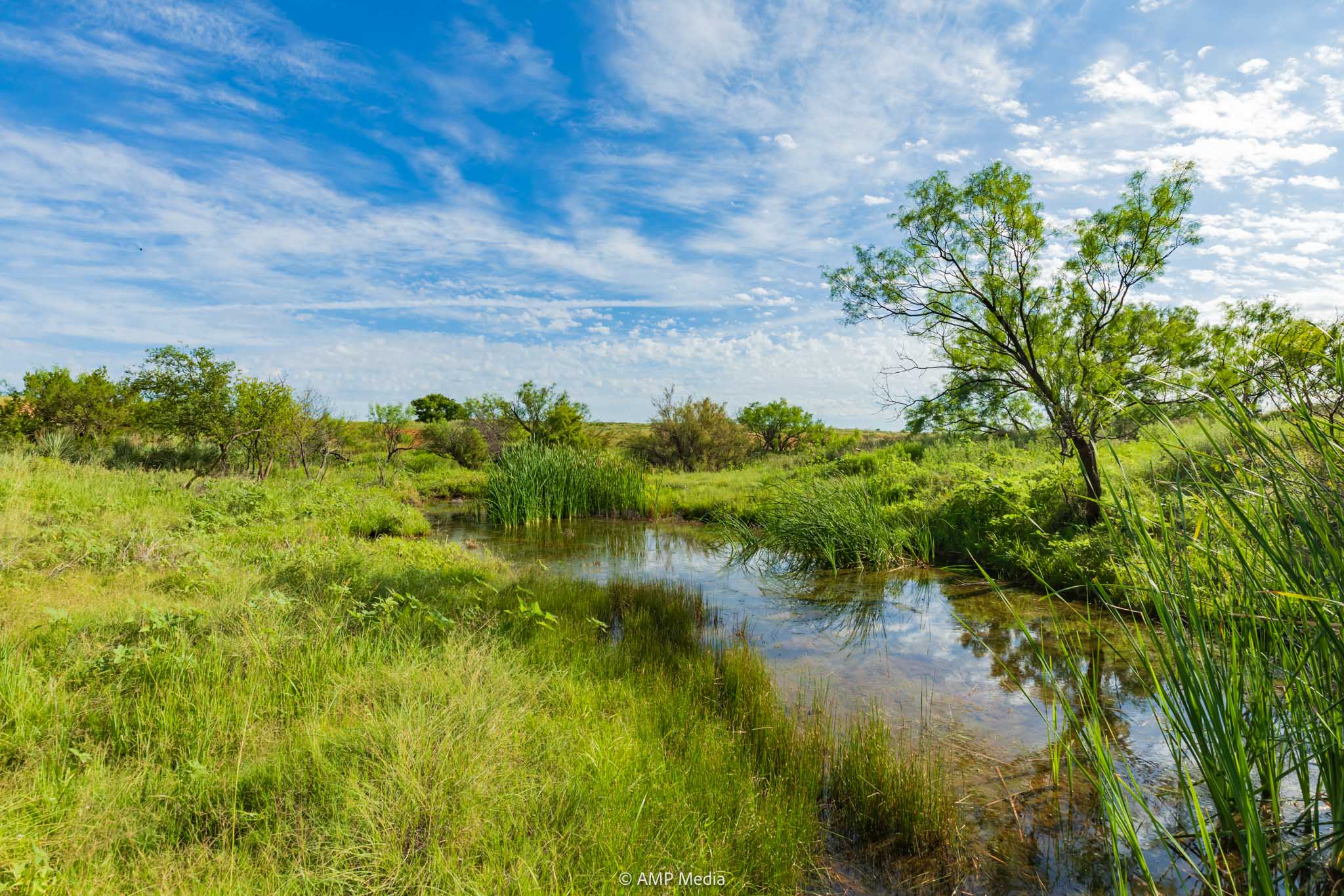 Property Photo 19 Property photograph 19
