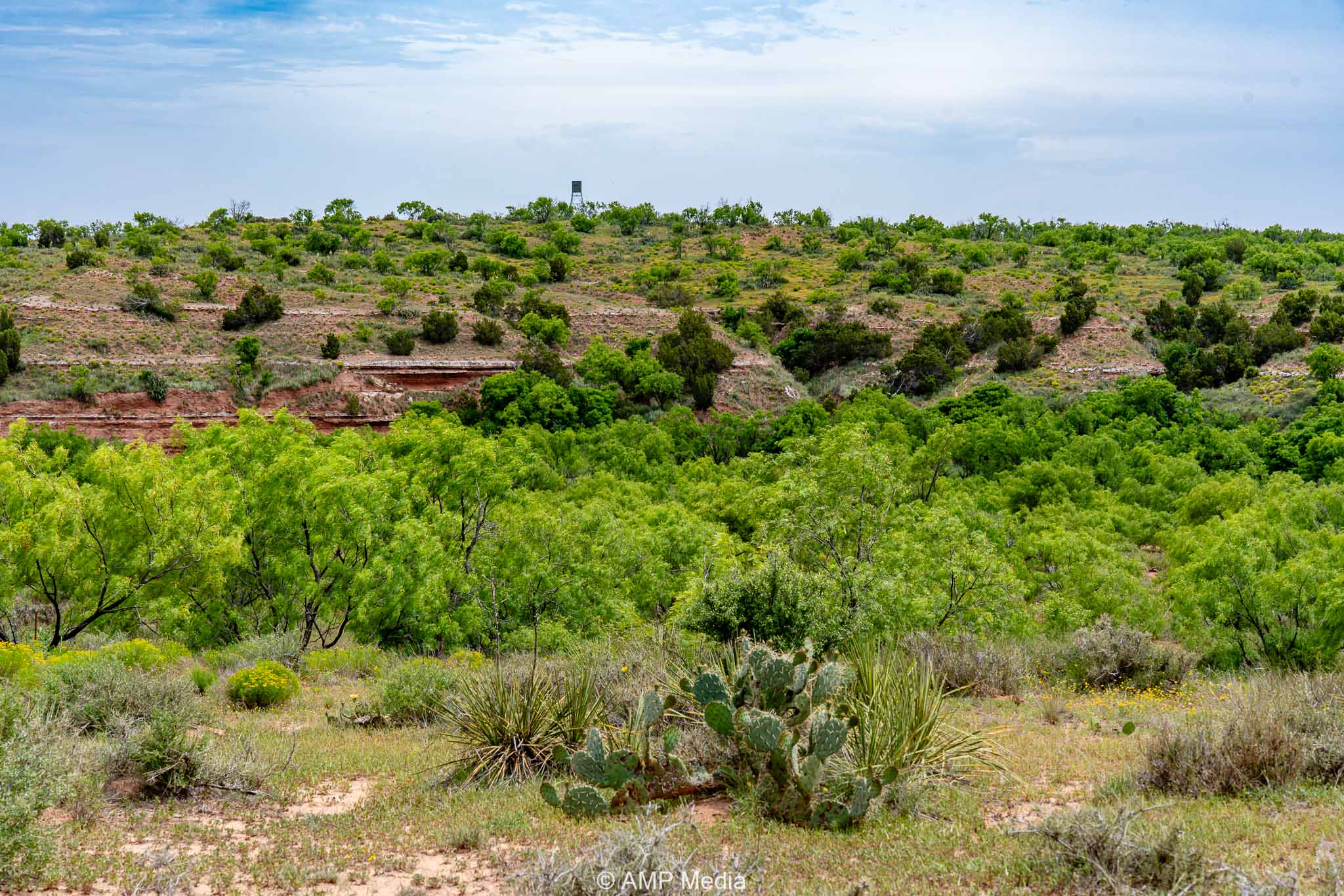 Property Photo 19 Property photograph 19