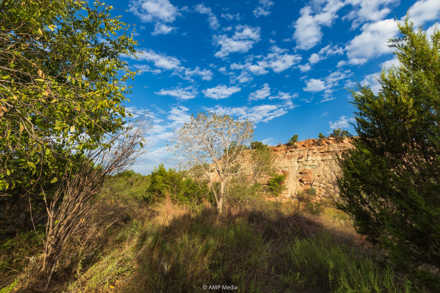 Property Photo 19 Property photograph 19