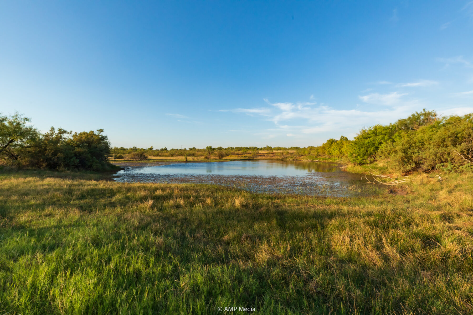 Property Photo 19 Property photograph 19