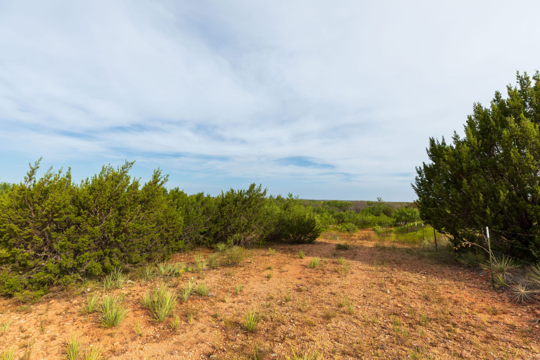 Property Photo 02 Property photograph 02