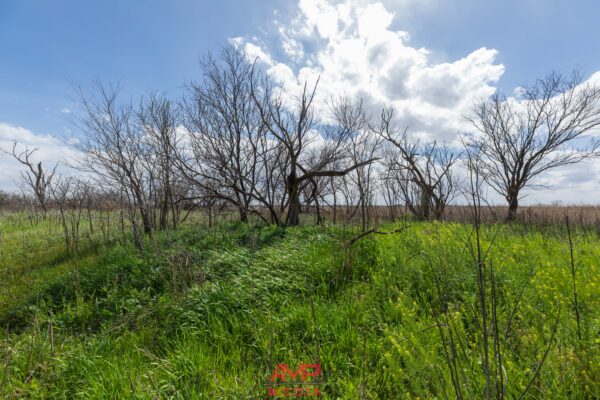 Property photograph 02