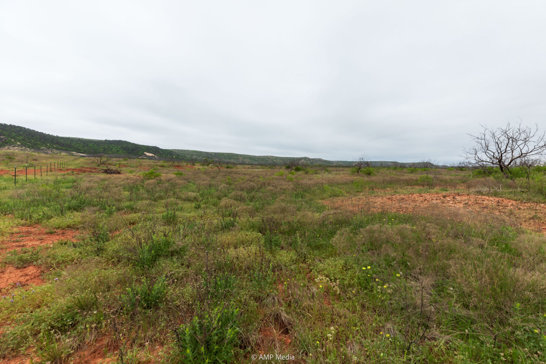 Property Photo 02 Property photograph 02