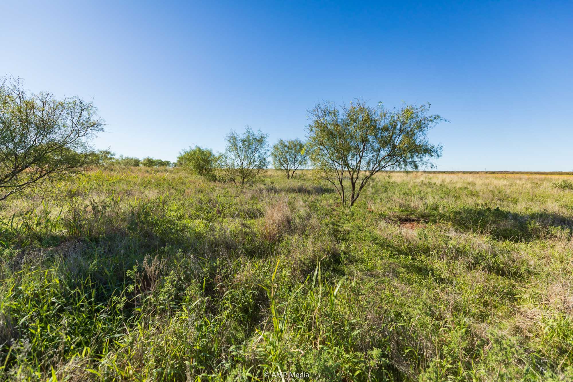 Property Photo 02 Property photograph 02
