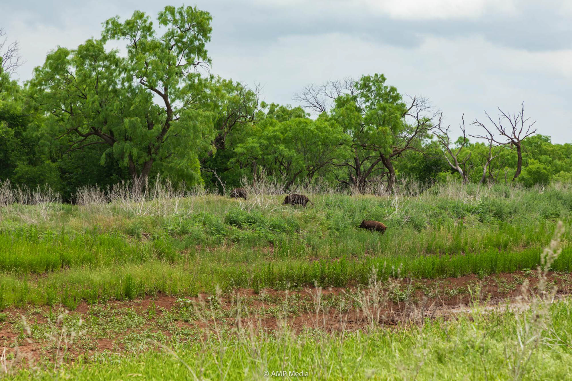 Property Photo 02 Property photograph 02
