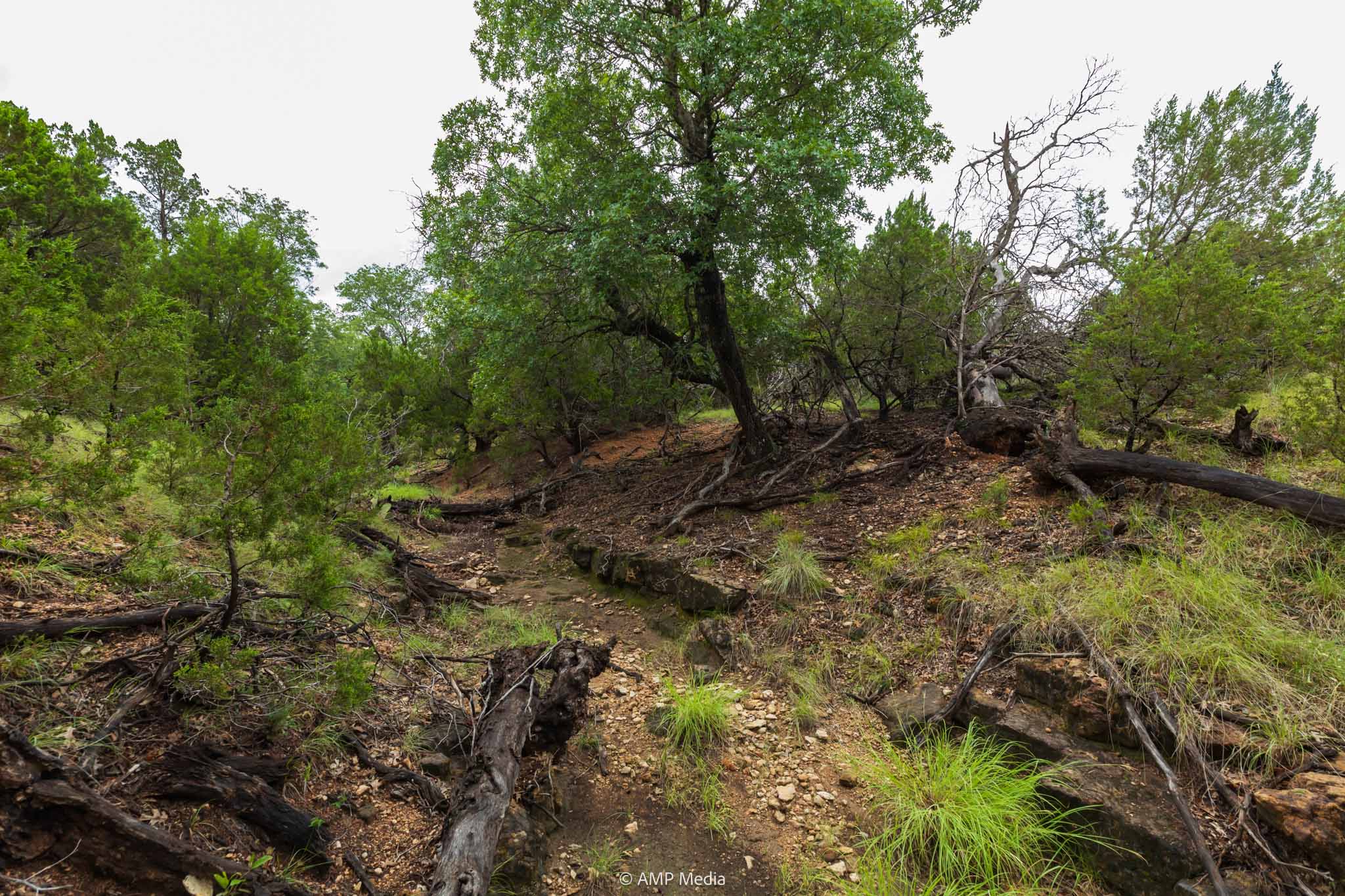 Property Photo 02 Property photograph 02