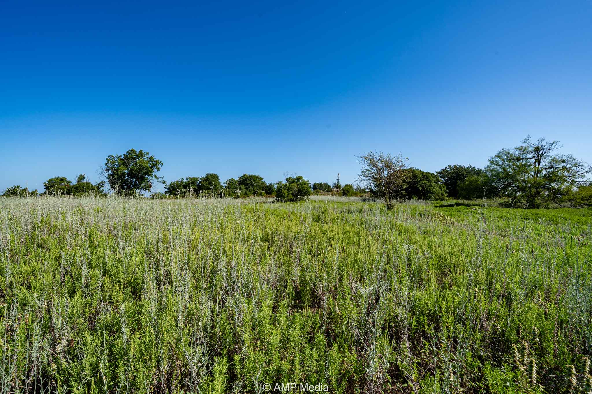 Property Photo 02 Property photograph 02