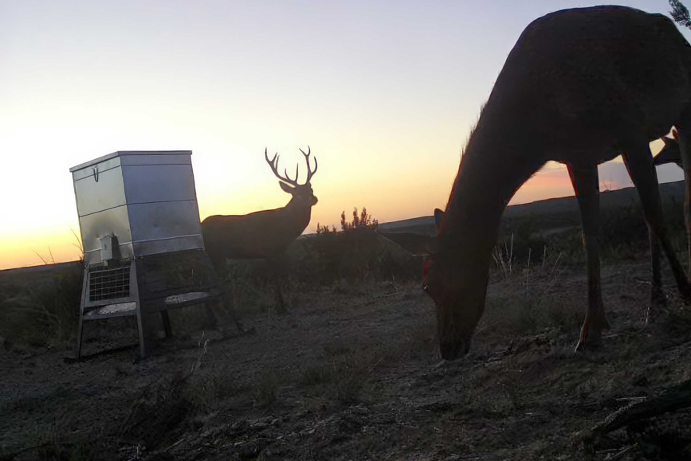 Property Photo 02 Property photograph 02