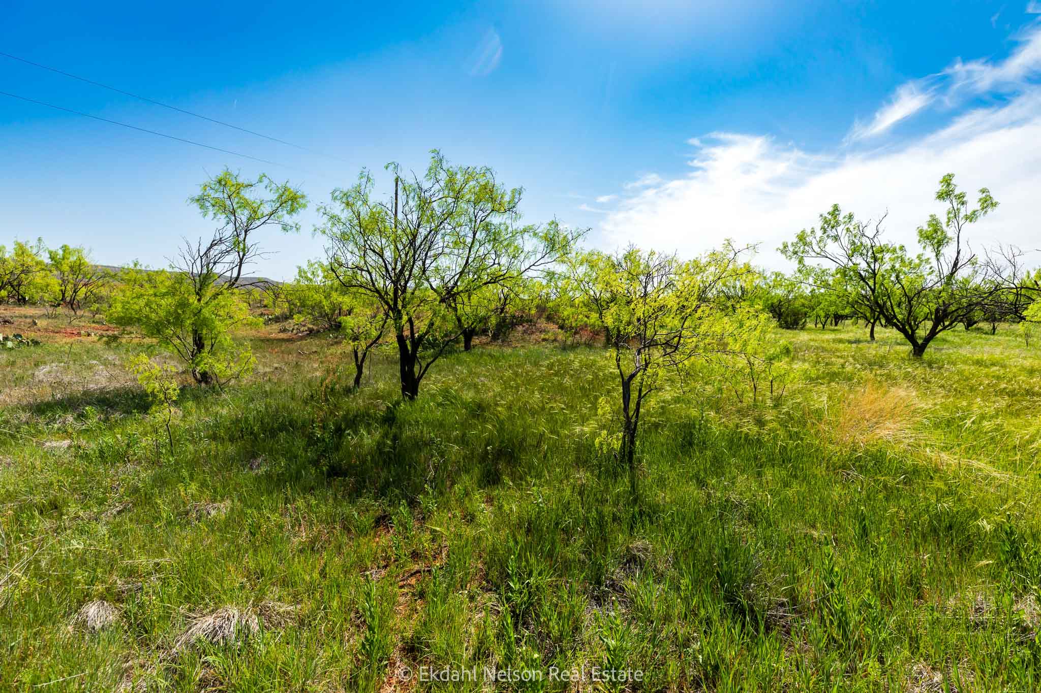 Property Photo 20 Property photograph 20