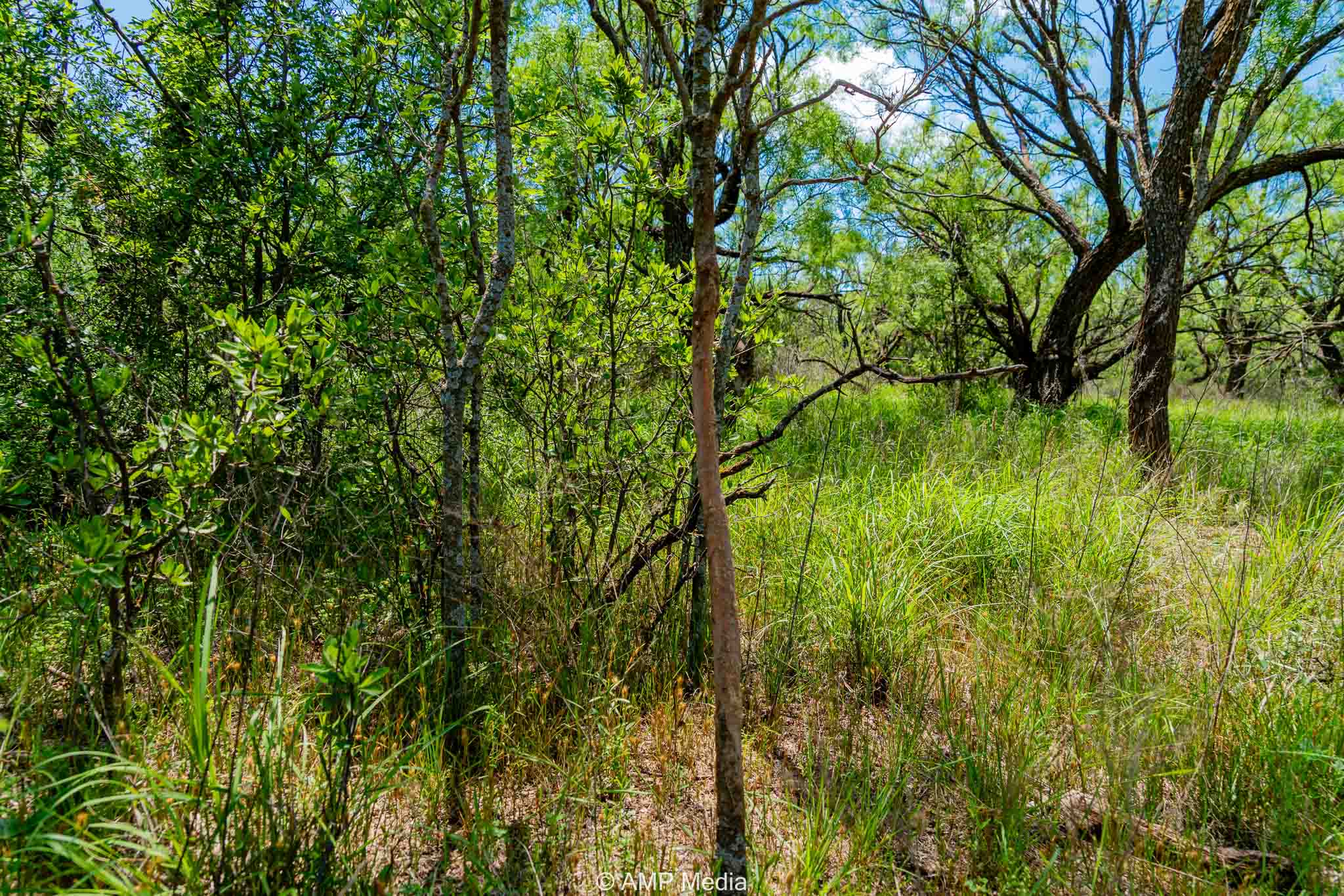 Property Photo 20 Property photograph 20