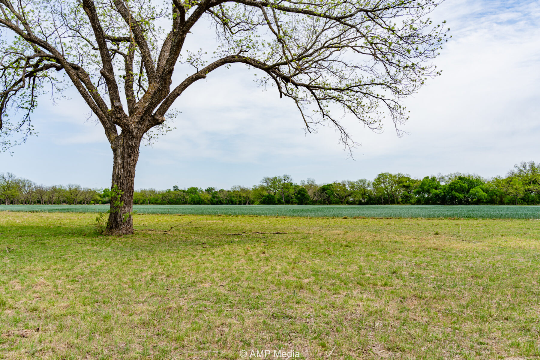 Property Photo 20 Property photograph 20