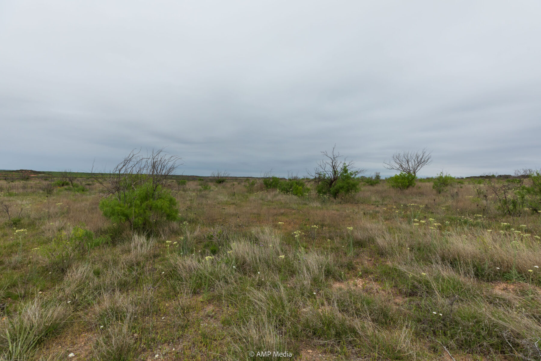 Property Photo 20 Property photograph 20