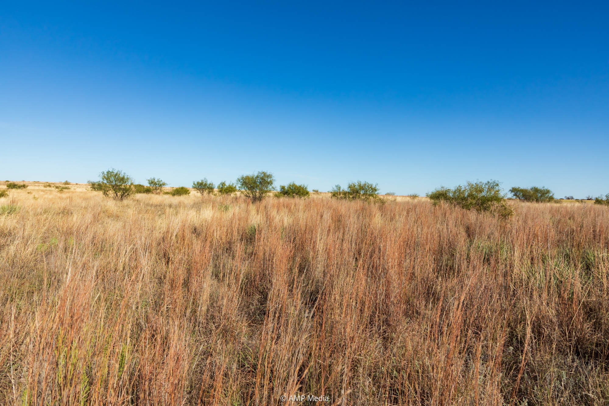 Property Photo 20 Property photograph 20